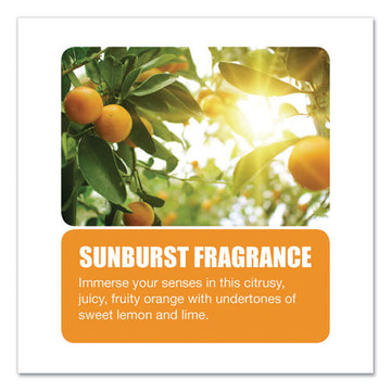 Big D Industries Metered Concentrated Room Deodorant, Sunburst Scent, 7 Oz Aerosol Spray, 12-carton freeshipping - TVN Wholesale